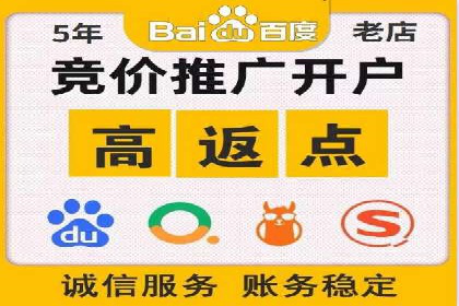 SEM推广公司案例分享：电商品牌崛起之路